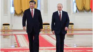 Putin holds talks with Chinese President Xi at Kremlin, hails 'special' Russia-China ties