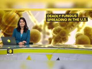 Gravitas: Alarming rise of drug-resistant fungus | Candida Auris spreads in US