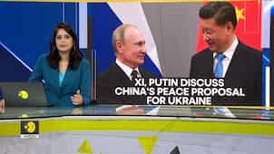 Gravitas: Will China's peace plan work? | Will Putin sit down for talks with Zelensky?