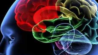 'People leave this world and break through into another', study on effect of consuming a hallucinogenic drug