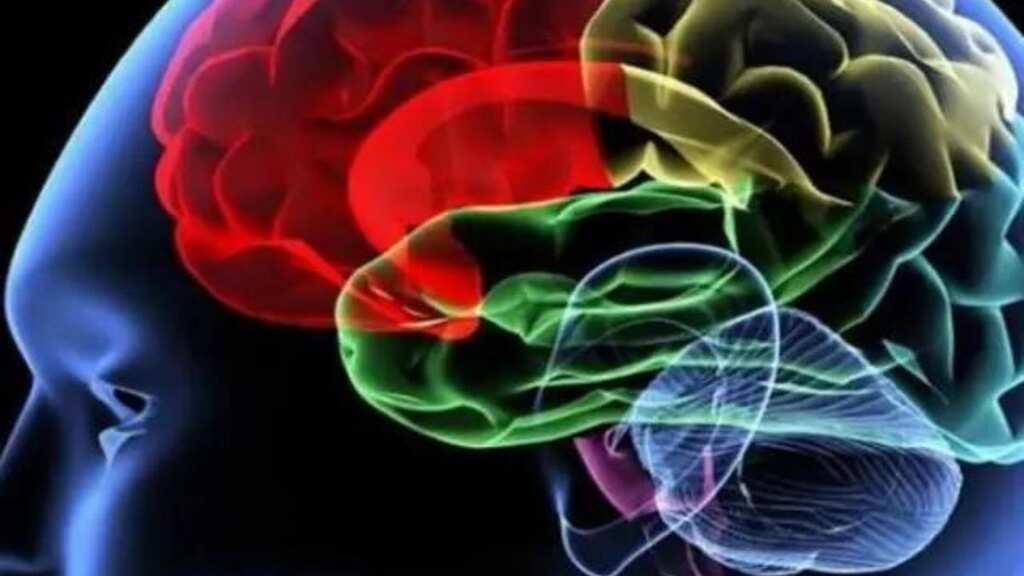 'People leave this world and break through into another', study on effect of consuming a hallucinogenic drug