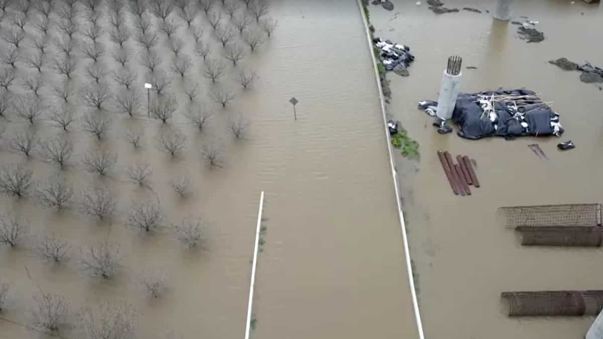 Warnings and advisories