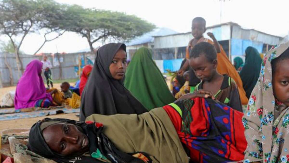 43,000 'excess deaths' in Somalia last year from drought, half may be children under five 43,000 'excess deaths' in Somalia last year from drought, half may be children under five
