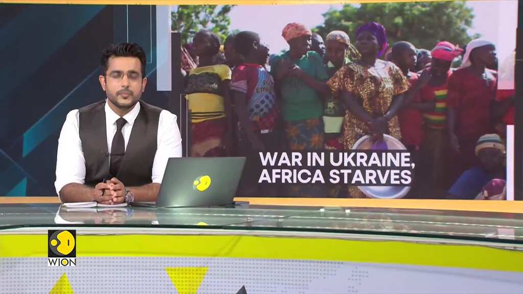 Are food grains reaching Africa? | WION Climate Tracker