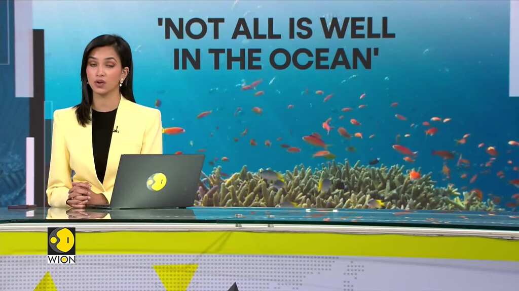 Decline of Australia's marine species