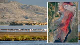 Does Lake Natron lake really turn animals into 'stone'? What's the truth?