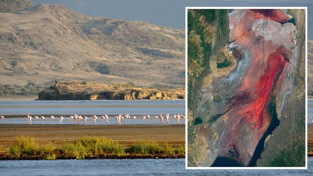 Does Lake Natron lake really turn animals into 'stone'? What's the truth?