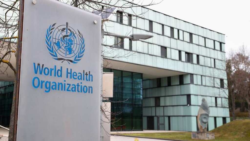 Equatorial Guinea confirms eight more Marburg cases: WHO