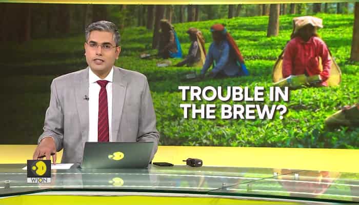 Is future of tea in jeopardy?