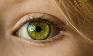Early Alzheimer's detection could be possible by examination of eyes, Omega-3 to help ease visual problems