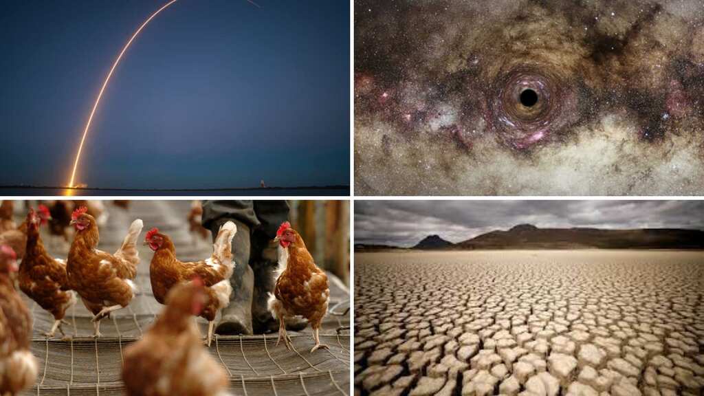 Morning news brief: Israel launches missiles at Syria, Chile's first case of human bird flu, & more