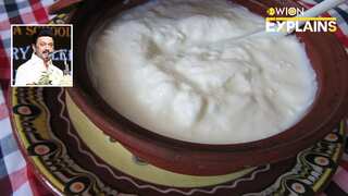 Explained | Dahi or Tayyir? Tamil Nadu's refusal to use Hindi word for curd takes centre stage