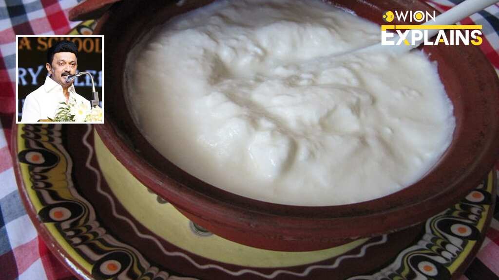 Explained | Dahi or Tayyir? Tamil Nadu's refusal to use Hindi word for curd takes centre stage