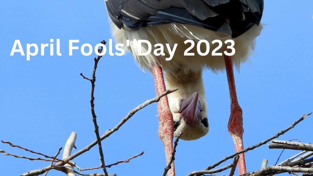 April Fool's Day 2023: Know its history, share these hilarious jokes and messages to friends and family
