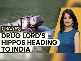 Gravitas: Colombia's mission to relocate 70 hippos