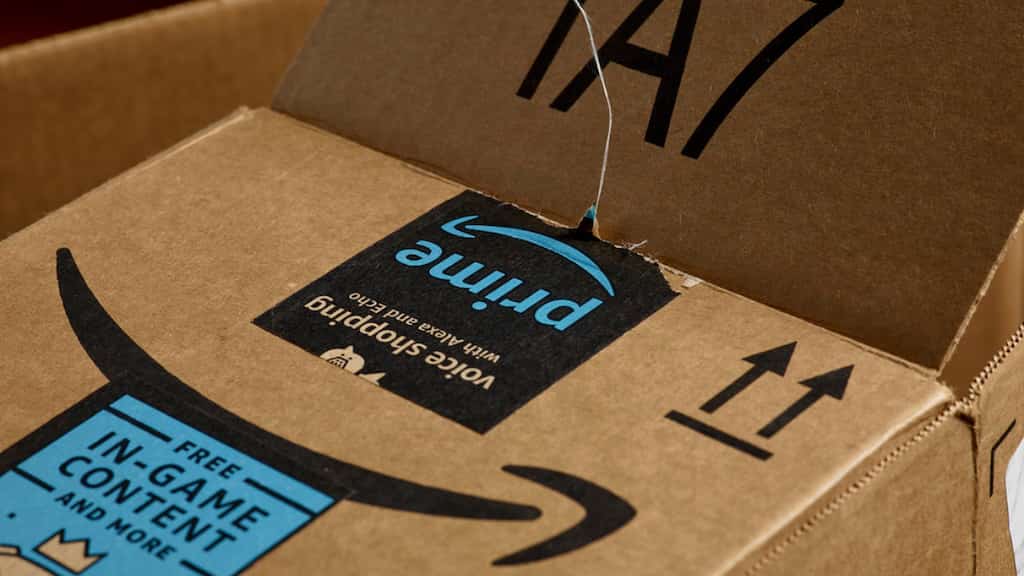 Five-year-old goes on shopping spree, orders toys worth over $3,000 on Amazon