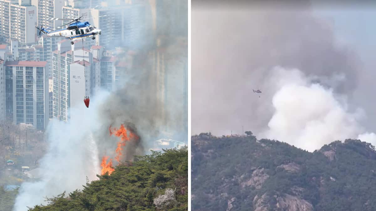 WATCH | South Korea: Over 100 homes evacuated after forest fire in central Seoul