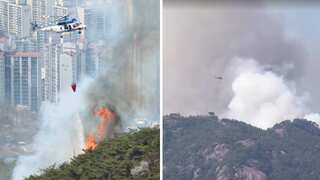 WATCH | South Korea: Over 100 homes evacuated after forest fire in central Seoul