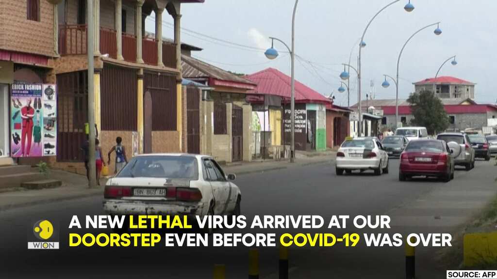 Marburg outbreak in Africa: All you need to know about this lethal virus