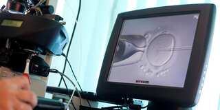 One in six people are affected by infertility, says WHO report