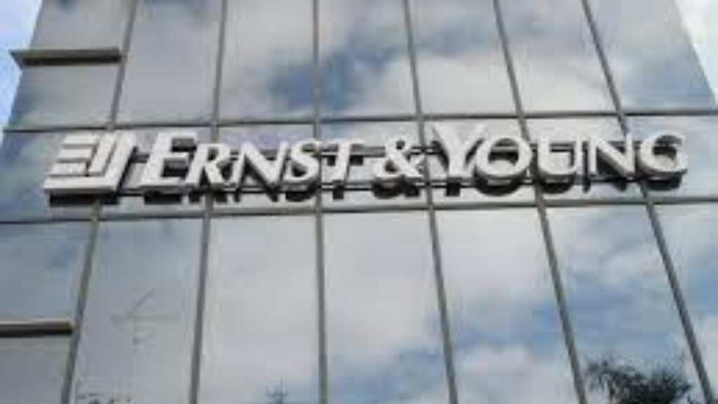 EY India chief says 'work pressure' did not cause Anna Perayil's tragic death