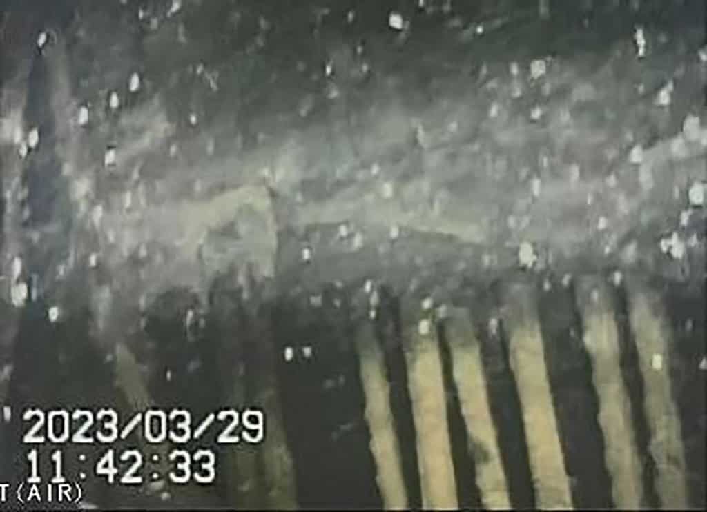 Fukushima governor pressed for the probe