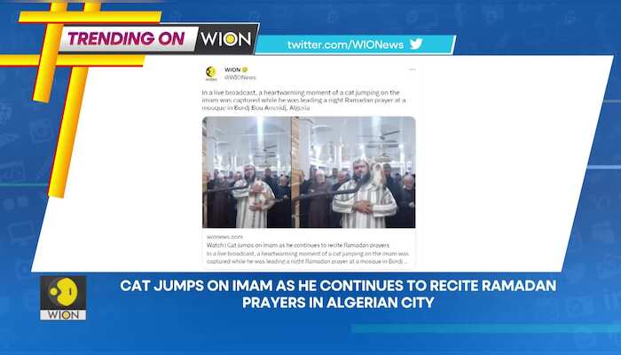 WionNews Video