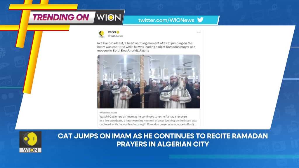 Cat jumps on Imam as he continues to recite Ramadan prayers in Algerian city | Trending on WION