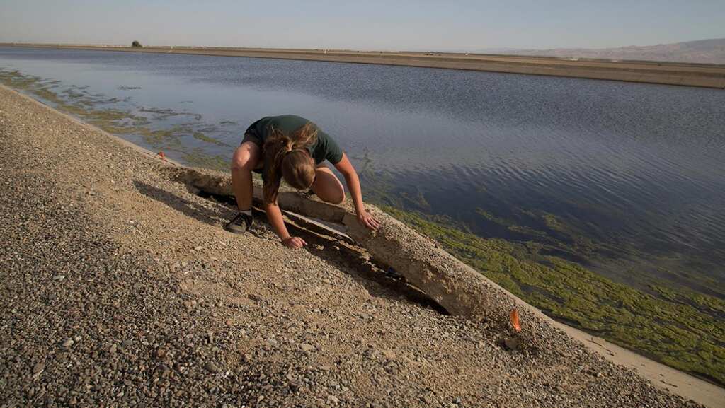 Over 1.3mn Californians may be drinking water that can trigger cognitive issues, Parkinson-like symptoms