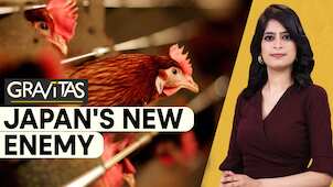 Gravitas: Japan running out of land to bury chickens
