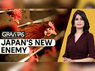 Gravitas: Japan running out of land to bury chickens