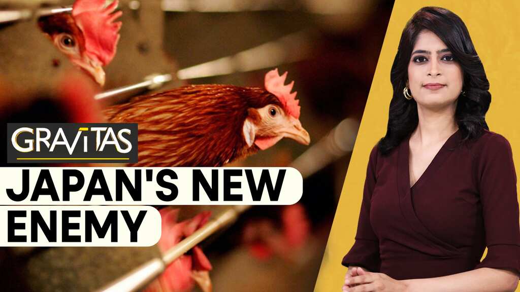 Gravitas: Japan running out of land to bury chickens