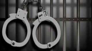 Indian posing as fraud prevention specialist dupes many US elderly, gets 33 months prison term