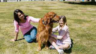How furry friends help with stress & mental health | Stress Awareness Month & National Pet Day