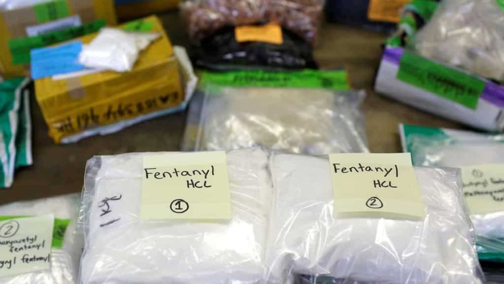 US seeks India’s assistance in tackling fentanyl menace with multi-pronged strategy