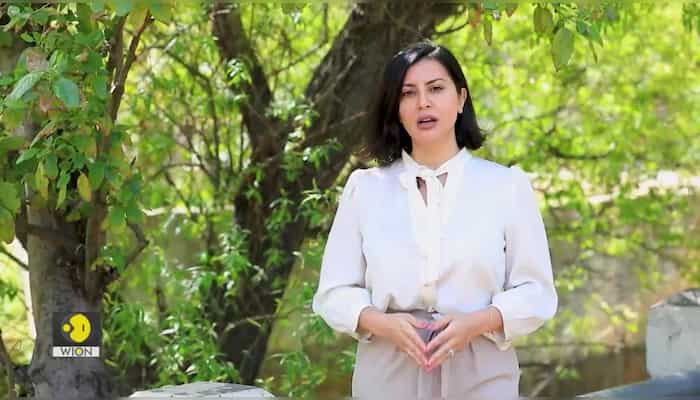 Is Saudi Prince pivoting towards peace? | The West Asia Post