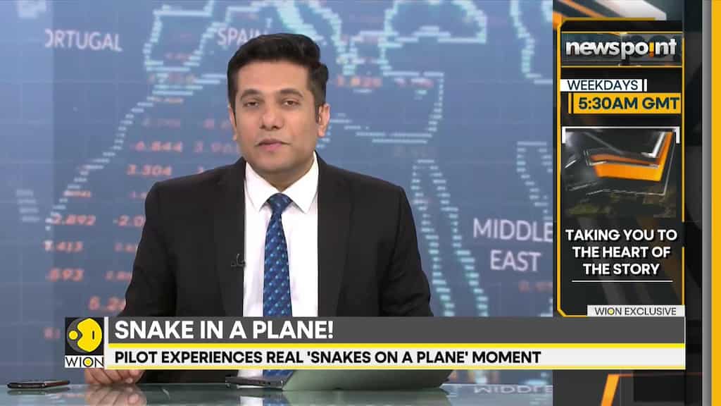 Pilot shares 'snakes on a plane' moment