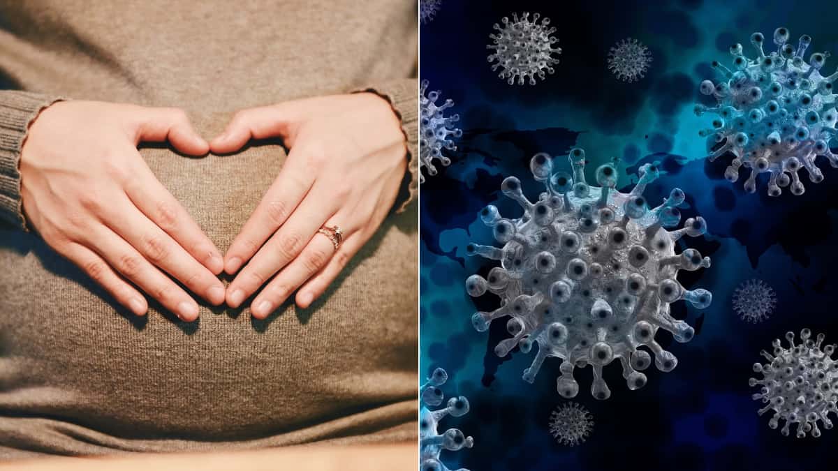 Coronavirus caused brain damage in two infants after moms got infected during pregnancy: Study Coronavirus caused brain damage in two infants after moms got infected during pregnancy: Study