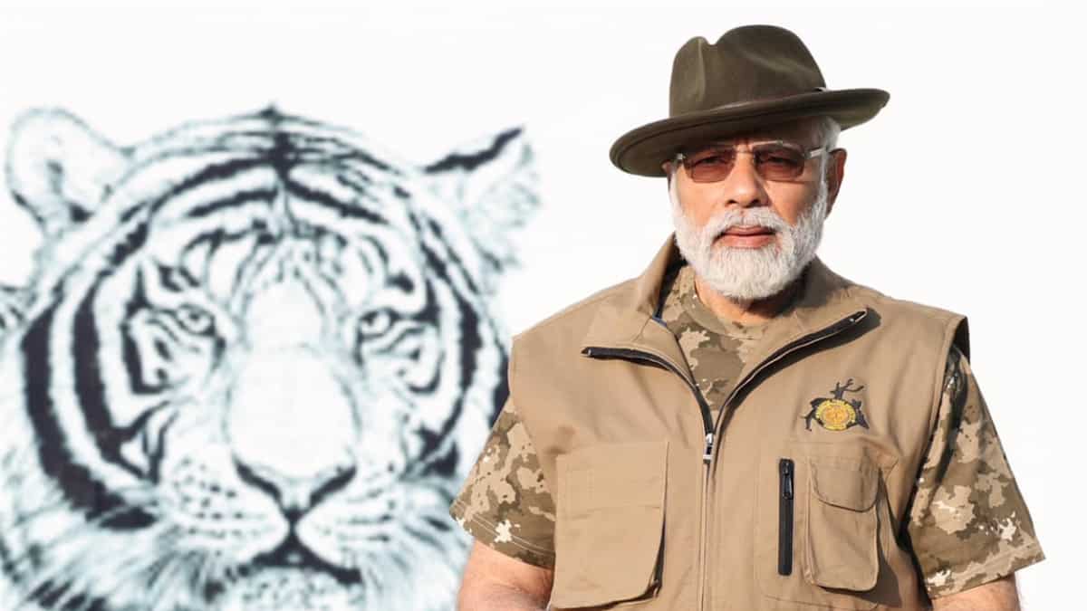 Tiger census reveals India has 3,167 tigers, PM Modi releases data