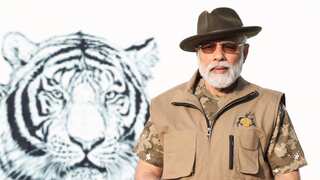 Tiger census reveals India has 3,167 tigers, PM Modi releases data