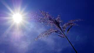 IMD forecast says heatwave will take over several parts of India in coming five days