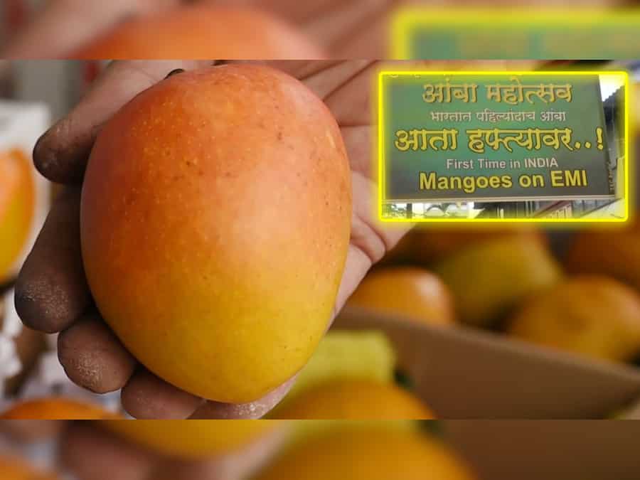 Convenience economy at best: Indian fruit seller is selling Alphonso mangoes on EMI