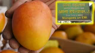 Convenience economy at best: Indian fruit seller is selling Alphonso mangoes on EMI