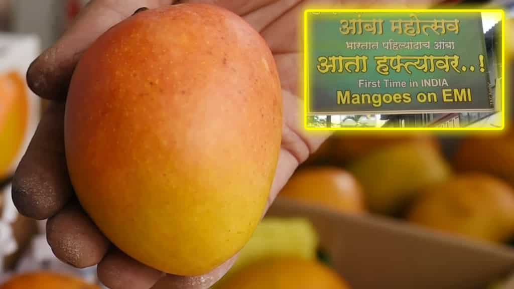 Convenience economy at best: Indian fruit seller is selling Alphonso mangoes on EMI