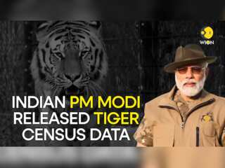 Indian PM Narendra Modi releases tiger census data: Details