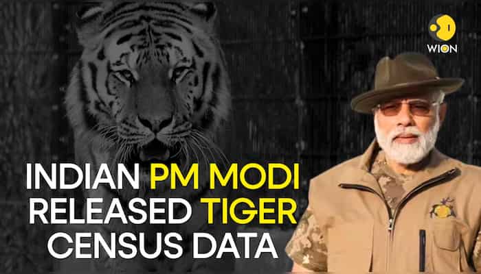 Indian PM Narendra Modi releases tiger census data: Details