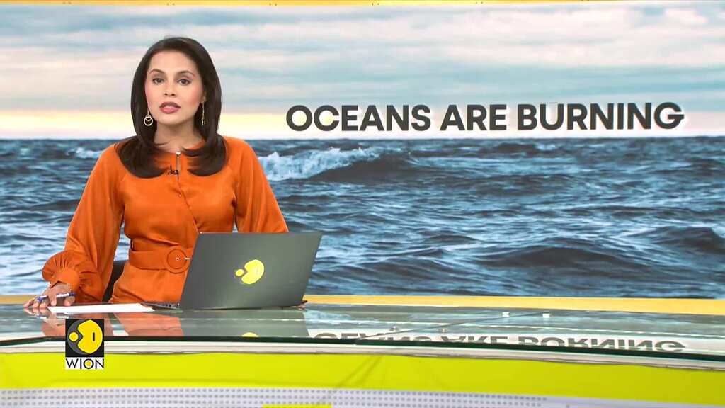 Ocean surface temperatures hit record high