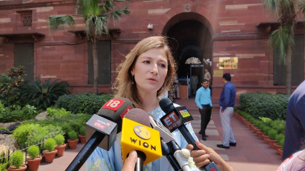 India is a global player, can address global challenges, says Ukrainian minister during India visit India is a global player, can address global challenges, says Ukrainian minister during India visit