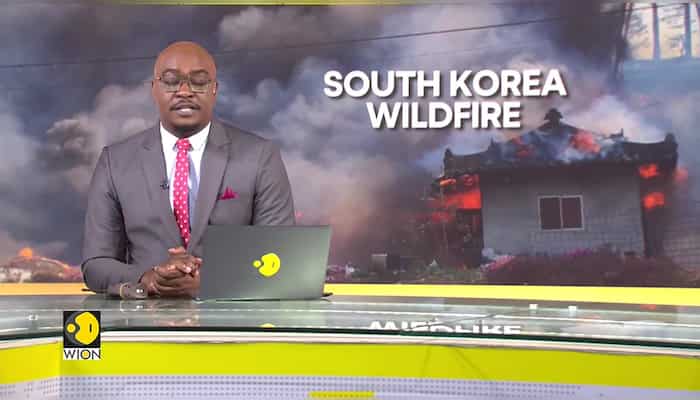 WionNews Video