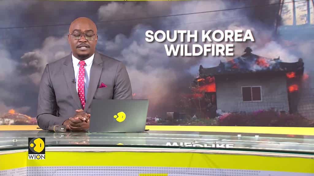 South Korea wildfire fanned by strong winds
